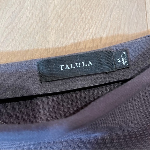 Aritzia Talula grey Primrose Skirt • chalet colour - Picture 3 of 4